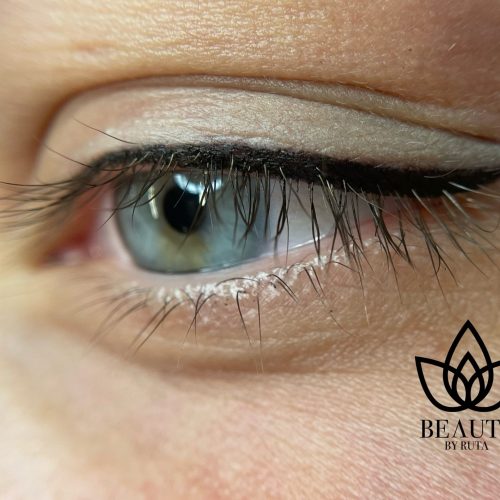 24AC48DC-FE9F-4FE1-9464-6F806852A618